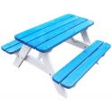 Mickey kinderpicknicktafel blauw/wit